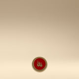 GAMIN PIN
