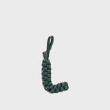 L CHARM