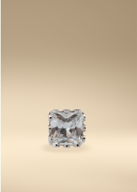 GAMIN Charms Mod. 020004GA silver