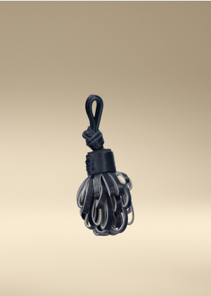 TASSEL