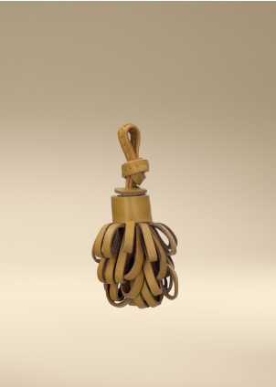 TASSEL