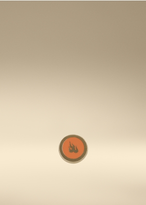 GAMIN PIN