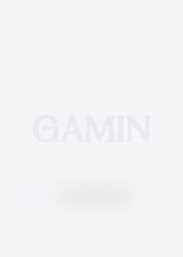GAMIN DOPAMINE